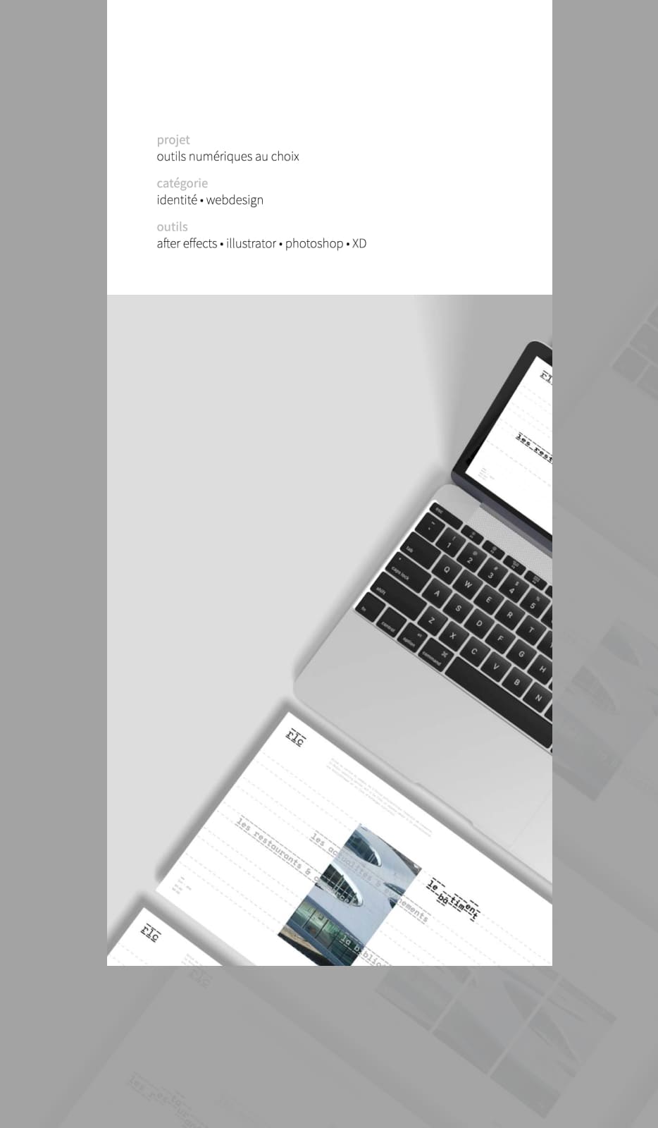 Portfolio 2020 - Page projet Rolex Learning Center mobile